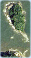 Ilha Farol