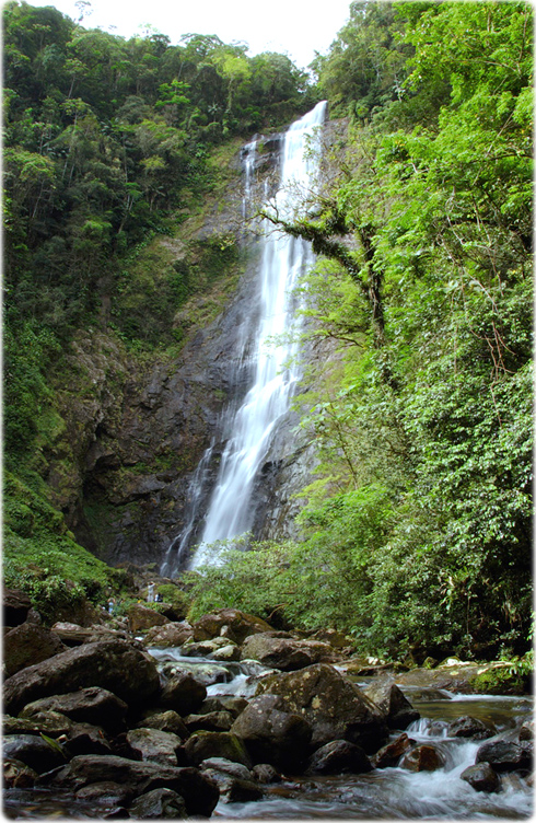 Reserva Ambiental Guaraqueçaba